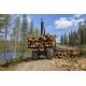Форвардер Komatsu 895